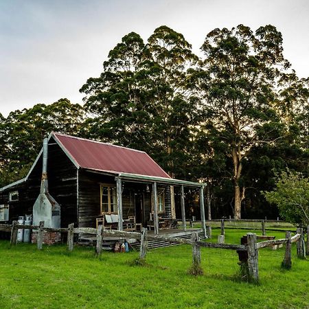 Cosy Farmstay: Green Cabin At Whispering Woods Beedelup Buitenkant foto